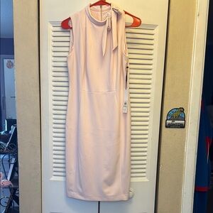 Calvin Klein Pink Sleeveless Mock Neck Sheath Dress